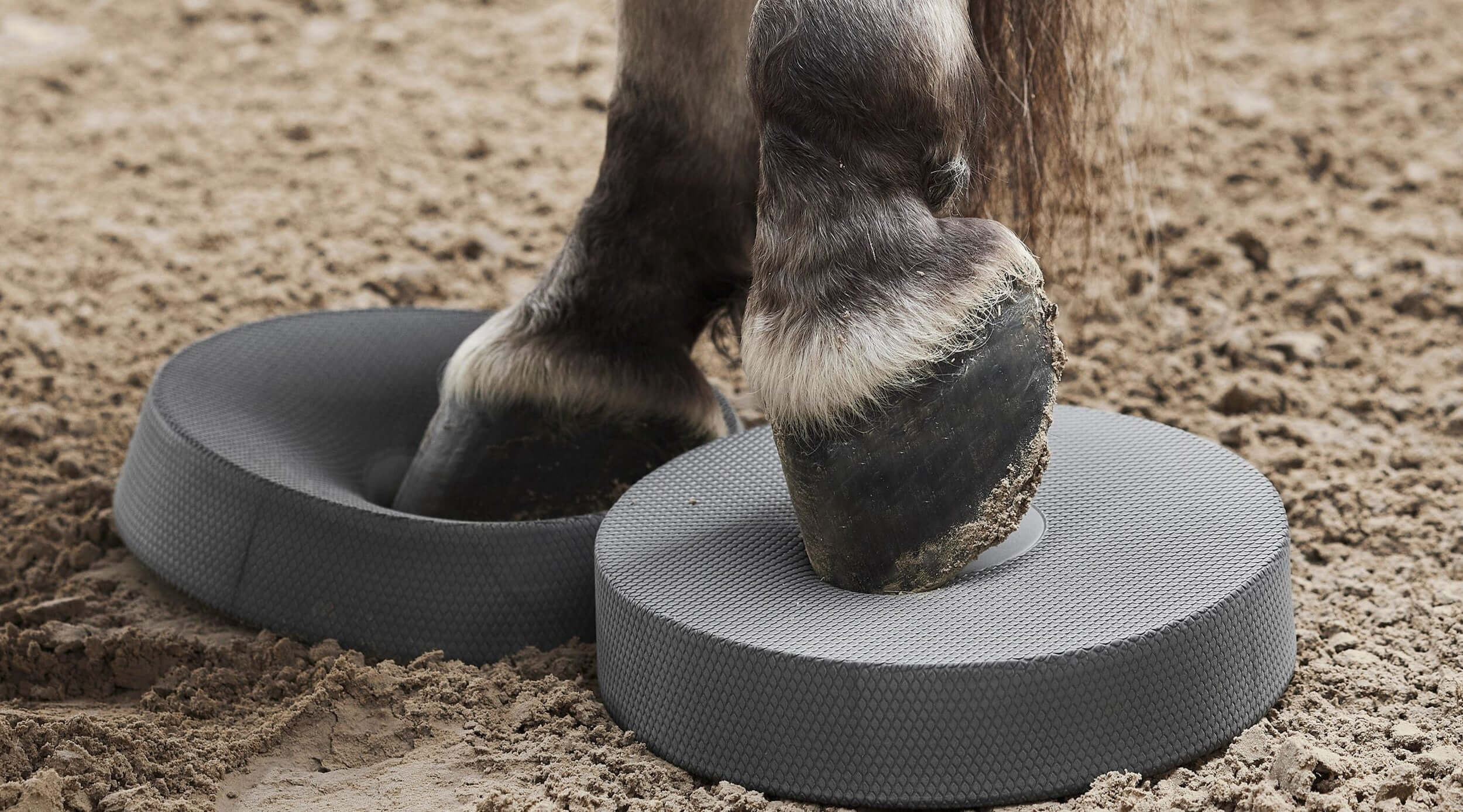 Das 2er-Set von Norsholm Equestrian bietet einen hohen Trainingskomfort