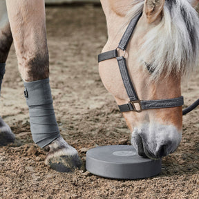 Balance Pad Pferd kaufen - 2er Set inkl. Anleitung