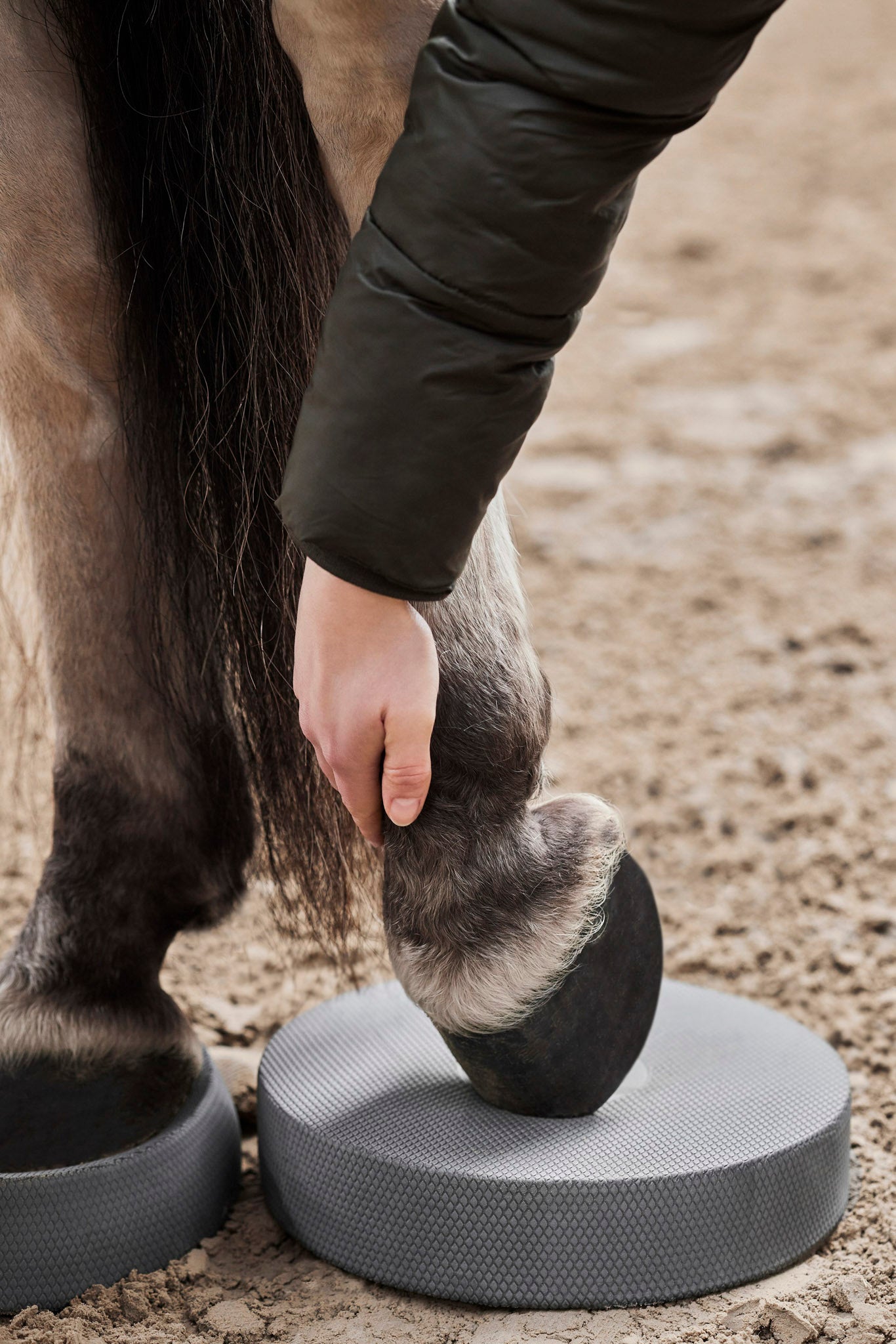 Das Balance Pad Pferd von Norsholm Equestrian unterstützt ein ganzheitliches Equestrian Balance Training
