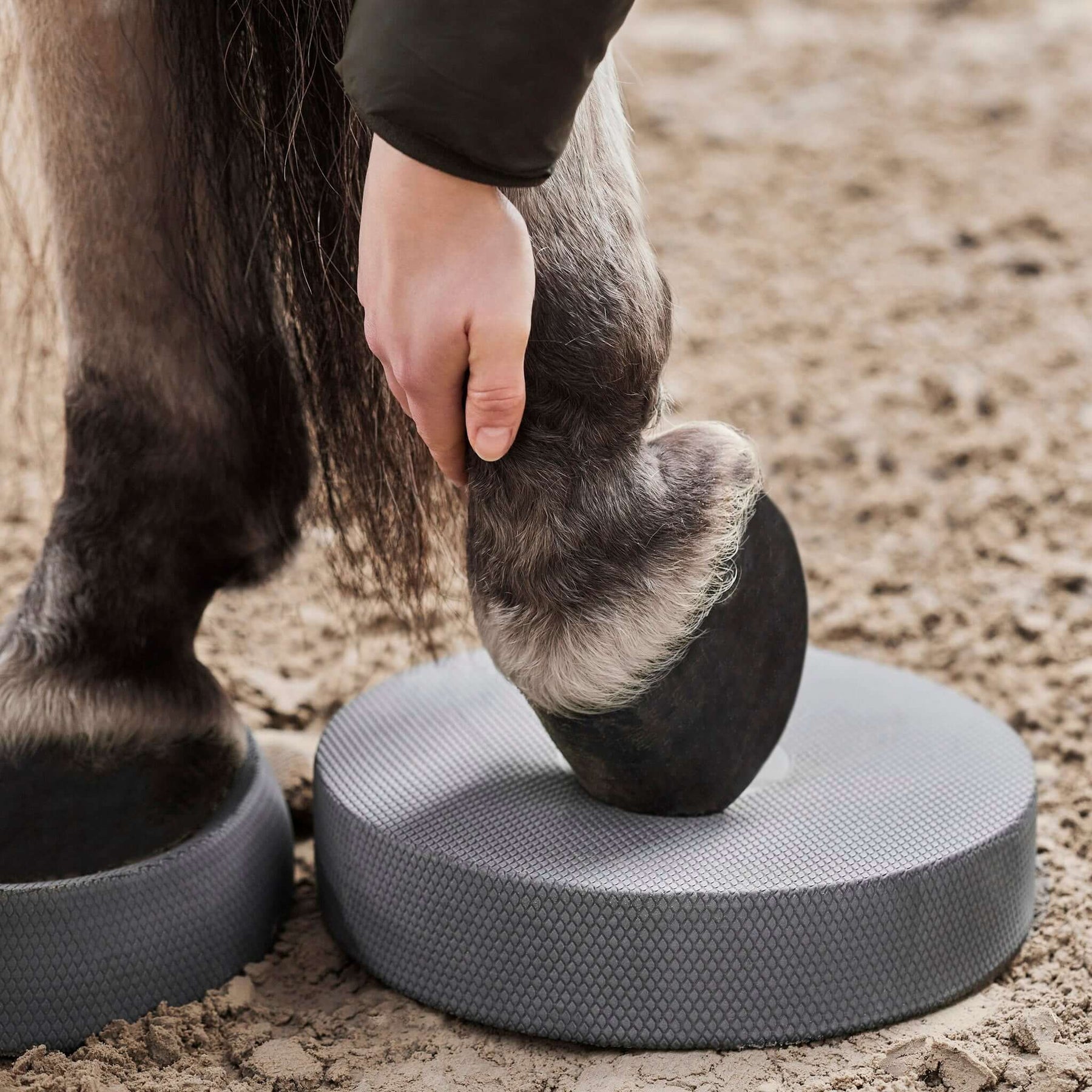 NØRSHOLM EQUESTRIAN®, balance pad horse set of 2
