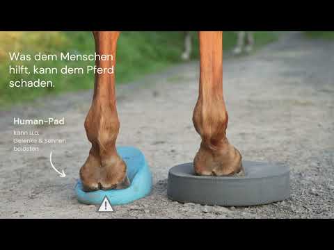 Balance Pad Pferd kaufen - 2er Set: ideal zum Einstieg