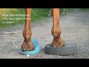 Balance Pad Pferd kaufen - 2er Set: ideal zum Einstieg